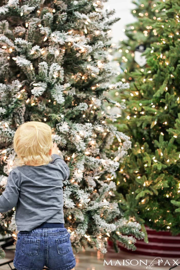Tips for choosing the perfect tree: affordable and beautiful! | maisondepax.com